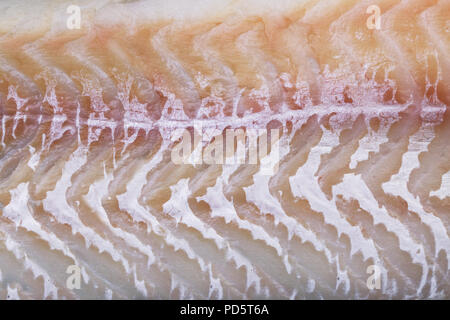 Hintergrund Textur von fischfilets Close-up Makro Stockfoto