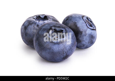 Drei Beeren Heidelbeeren auf weißem Hintergrund Stockfoto
