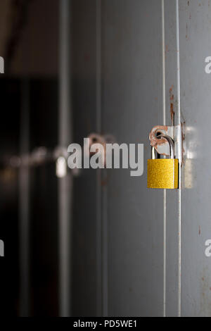 Grau neutral Schließfächer mit Vorhängeschlössern für Gym, Ankleidezimmer, Firma, Schule für Personal Storage Stockfoto