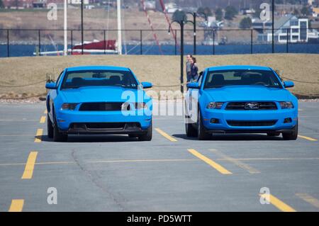 Zwei blaue Ford Mustang Autos zusammen geparkt Stockfoto