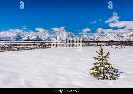 Grand Teton Bergkette Stockfoto