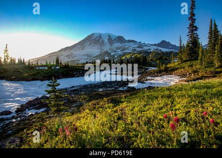 Mount Rainier Schuß an Mazama Ridge durch mich. Stockfoto