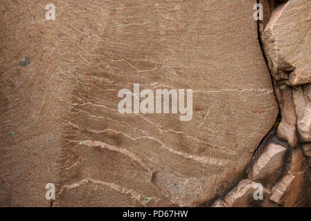 Rosa Granit der Kanadische Schild, die typisch für das Grundgestein in Killarney Park, Ontario. Stockfoto