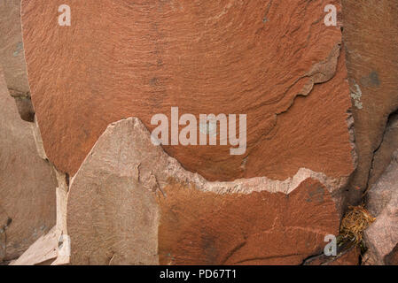 Rosa Granit der Kanadische Schild, die typisch für das Grundgestein in Killarney Park, Ontario. Stockfoto