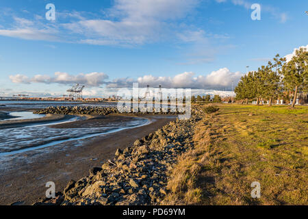 Middle Harbour Shoreline Park Stockfoto