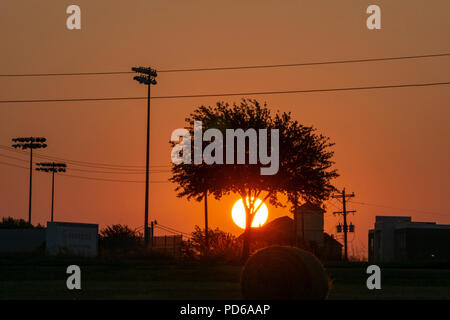 Sonnenaufgang über einem Feld neben einer Straße in McKinney, Texas Stockfoto