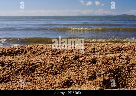 Australische Kies und Shell, groben Sandstrand mit Wellen im Hintergrund, Toolakea QLD, Australia Stockfoto