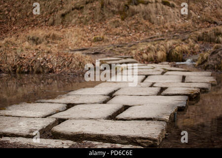 Gepflasterten Weg durch braun golden Landschaft religiöse Pilgerfahrt Stockfoto