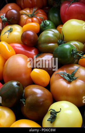 Gemischte Erbe Tomaten Stockfoto