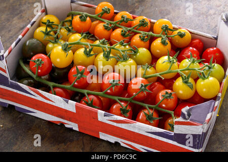 Gemischte Erbe Tomaten Stockfoto