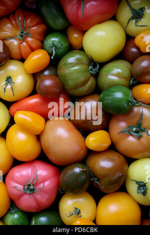 Gemischte Erbe Tomaten Stockfoto