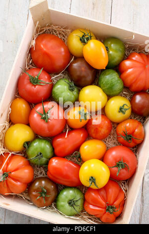 Gemischte Erbe Tomaten Stockfoto