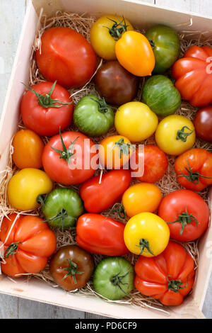 Gemischte Erbe Tomaten Stockfoto