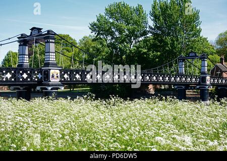 Blick auf die Ferry Bridge auch als stapenhill Ferry Bridge und dem Fluss Trent mit Kuh Petersilie im Vordergrund, Burton upon Trent, Stafford bekannt Stockfoto