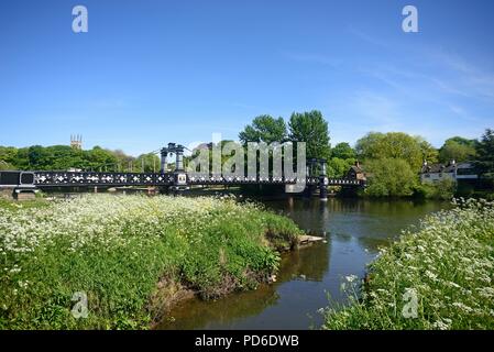 Blick auf die Ferry Bridge auch als stapenhill Ferry Bridge und dem Fluss Trent mit Kuh Petersilie im Vordergrund, Burton upon Trent, Stafford bekannt Stockfoto