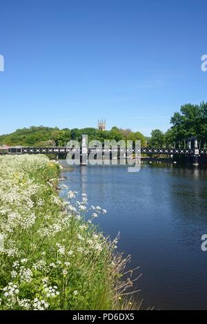 Blick auf die Ferry Bridge auch als stapenhill Ferry Bridge und dem Fluss Trent mit Kuh Petersilie im Vordergrund, Burton upon Trent, Stafford bekannt Stockfoto