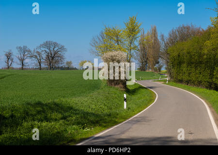 Grafschaft Straße Nummer 59 durch die hügelige Landschaft von Schwansen, Rieseby, Schleswig-Holstein, Deutschland, Europa geschwungene Stockfoto