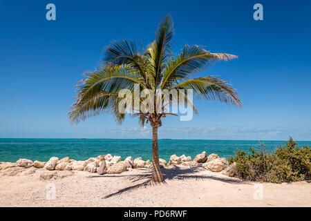 Fort Zachary Taylor Historic State Park Waterfront Stockfoto