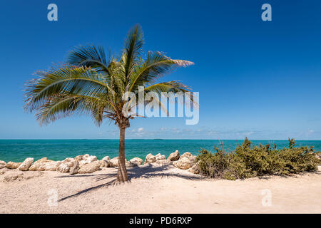 Fort Zachary Taylor Historic State Park Waterfront Stockfoto