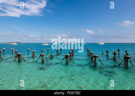 Die Küste und die umliegenden Wasser der Dry Tortugas National Park Stockfoto