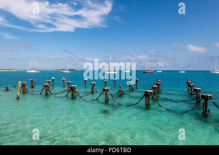 Die Küste und die umliegenden Wasser der Dry Tortugas National Park Stockfoto