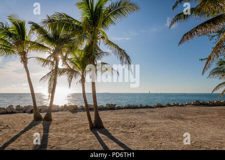 Fort Zachary Taylor Historic State Park Waterfront Stockfoto