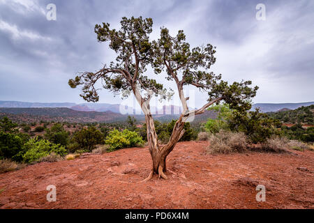 Crescent Moon Ranch Tag Bereich verwenden Stockfoto