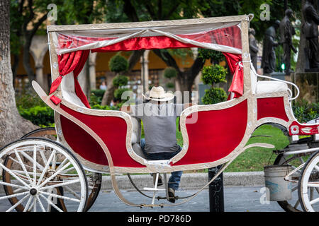 Eine Pferdekutsche Fahrer wartet für Kunden in der Innenstadt von Guadalajara, Mexiko. Stockfoto