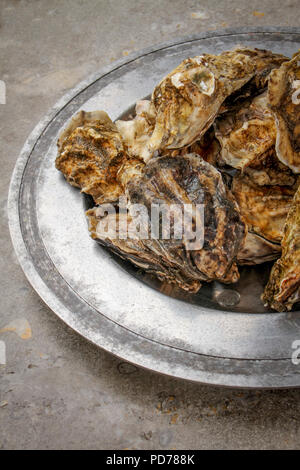Frische Austern leben Stockfoto