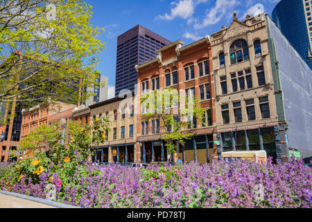 Denver, 3. Mai: Schönes Gebäude und Lila Blume Blüte in der Innenstadt am 3. Mai 2017 in Denver, Colorado Stockfoto