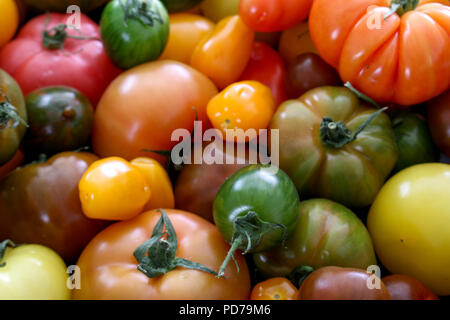 Gemischte Erbe Tomaten Stockfoto