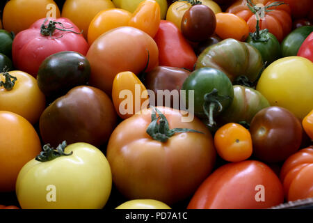 Gemischte Erbe Tomaten Stockfoto