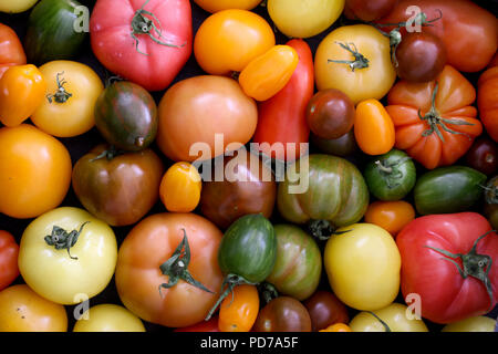 Gemischte Erbe Tomaten Stockfoto