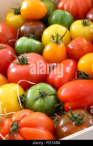 Gemischte Erbe Tomaten Stockfoto