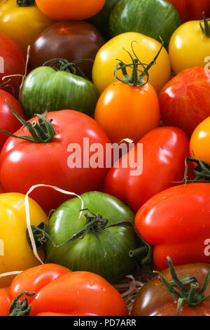 Gemischte Erbe Tomaten Stockfoto
