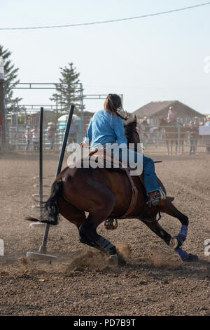 Ein junges Mädchen auf dem Pferderücken konkurriert in der Pole Bending Konkurrenz an der Nanton Nite Rodeo, Nanton, Alberta, Kanada Stockfoto