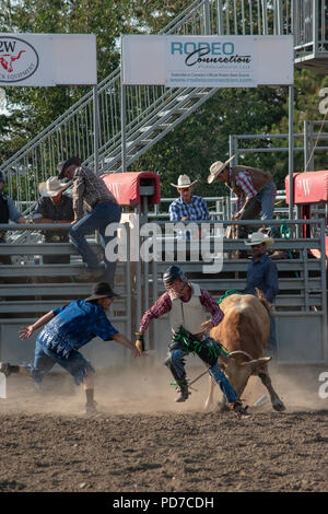 Teenager konkurriert in den Sattel bronc Konkurrenz an der Nanton Nite Rodeo, Nanton, Alberta, Kanada Stockfoto