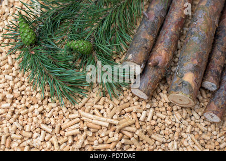Nadelholz Biomasse - Wald, Bäume, Blätter, Zapfen und pellets Stockfoto