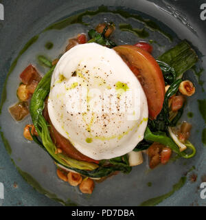 Vergoldete burrata Käse Vorspeise Stockfoto