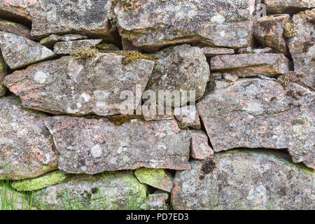 Alte Steinmauer mit Moos und Flechten Stockfoto