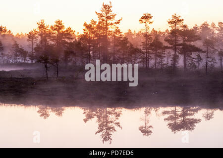 Sonnenaufgang mit Nebel über dem Wald See Stockfoto