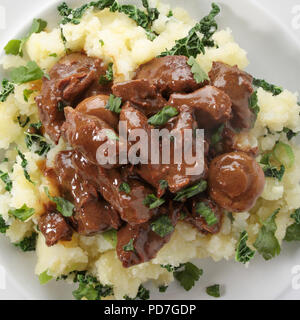 Traditionelle Rinderragout mit Colcannon Kartoffeln Stockfoto