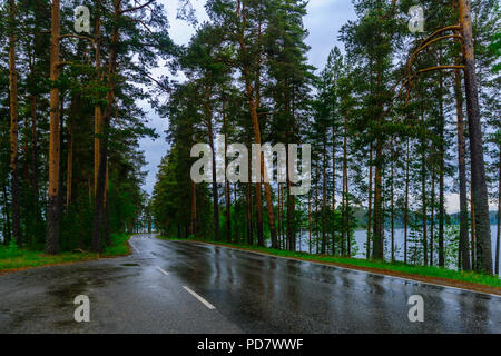 Straße und Wald in Punkaharju Grat. Shouthern Savonia, Lakeland Region, Finnland Stockfoto