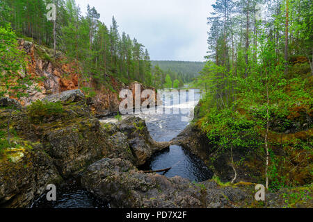 Blick auf die Kiutakongas Stromschnellen in Oulanka-Nationalpark, Finnland Stockfoto