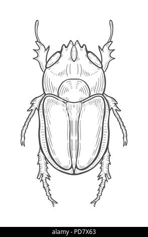 Big beetle Abbildung, Zeichnung, Gravur, Tinte, Strichzeichnungen, Vektor Stock Vektor