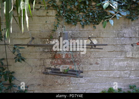 DIY-Bird Feeder, Mauer, Garten, Südafrika Stockfoto