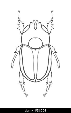 Gehörnter Käfer. Große Insekten Line Art. Zeichnung von Hand. Die graphische kunst Doodle Tattoo. Lucanus cervus Stock Vektor