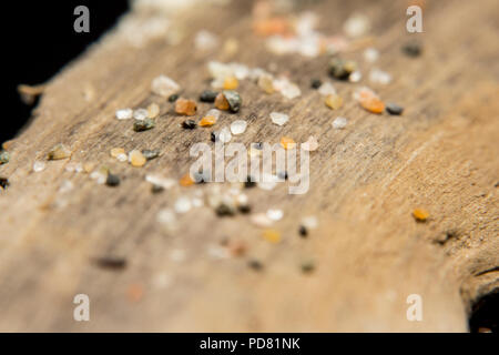 Stück Treibholz mit einigen winzigen Sand Felsen auf Makro Nahaufnahme Stockfoto