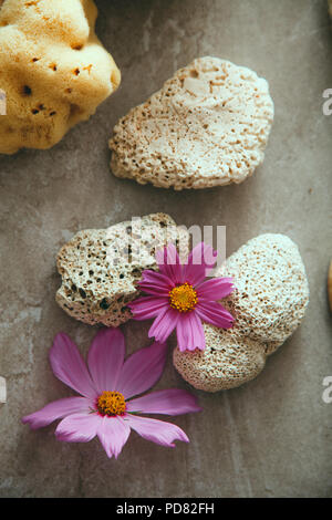 Wellness natürliches Konzept. Dayspa Kosmetik Produkte. Spa und Wellness. Stockfoto