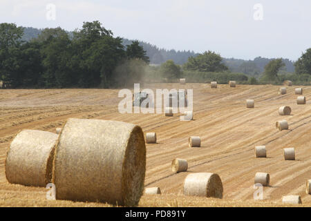 Howardian Hills, Brandsby bei Easingwold North Yorkshire, Großbritannien, 7th. August 2018. Landwirte, die auf Feldern mit Ernteanbau in North Yorkshire Fields beschäftigt sind, machen das Beste aus dem erwarteten guten Wetter und möglichen Mangel an Angebot und erhöhte Nachfrage in den kommenden Monaten. Kredit: Matt Pennington / Alamy Live Nachrichten Stockfoto